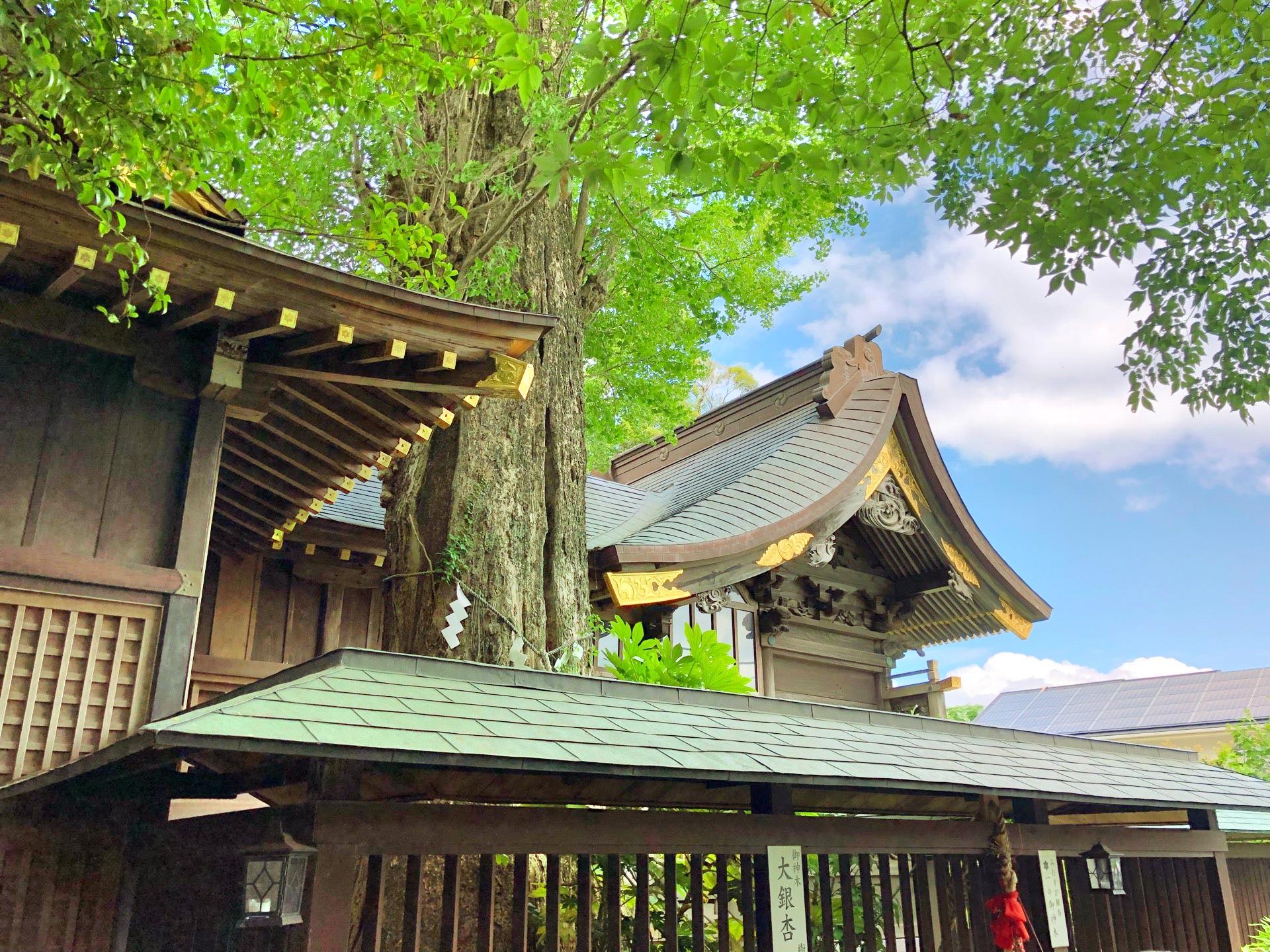麻賀多神社旅遊攻略指南 麻賀多神社評價 麻賀多神社附近推薦 Trip Com