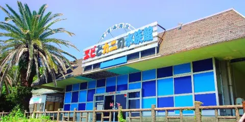 蝦蟹水族館