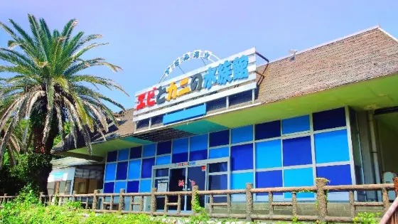 蝦蟹水族館