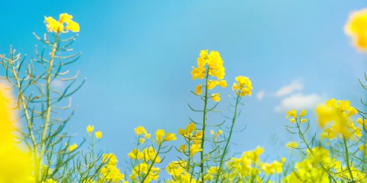 翰林湖農業公園