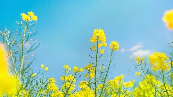 翰林湖農業公園