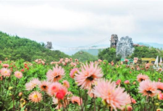 彝山花谷景区景点图片