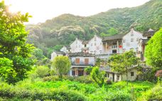 雁南飞茶田景区-桥溪古韵-梅州-C-IMAGE