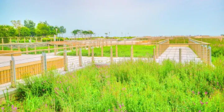 東疆建設開發紀念公園