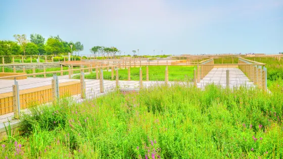 東疆建設開發紀念公園