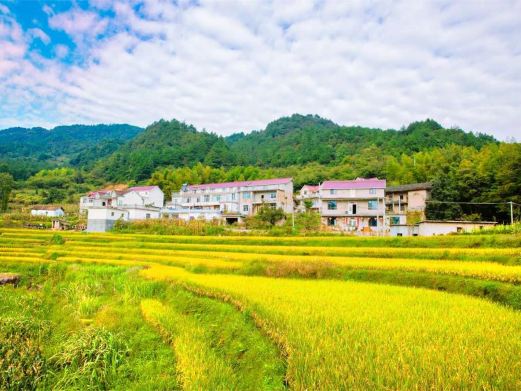 金榜乡村
