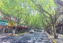 新华路景点图片