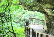 砂卡礑步道景点图片