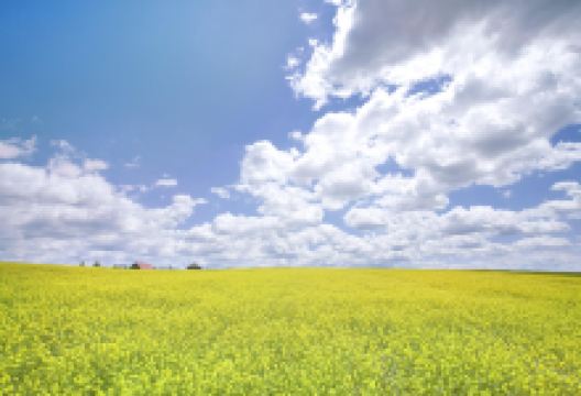 菅野农场景点图片