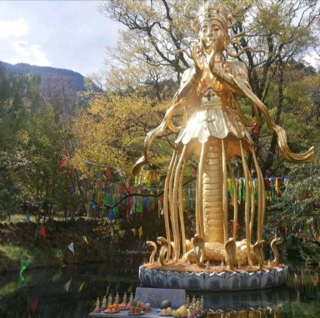 丽江玉水寨风景区旅行图片 3