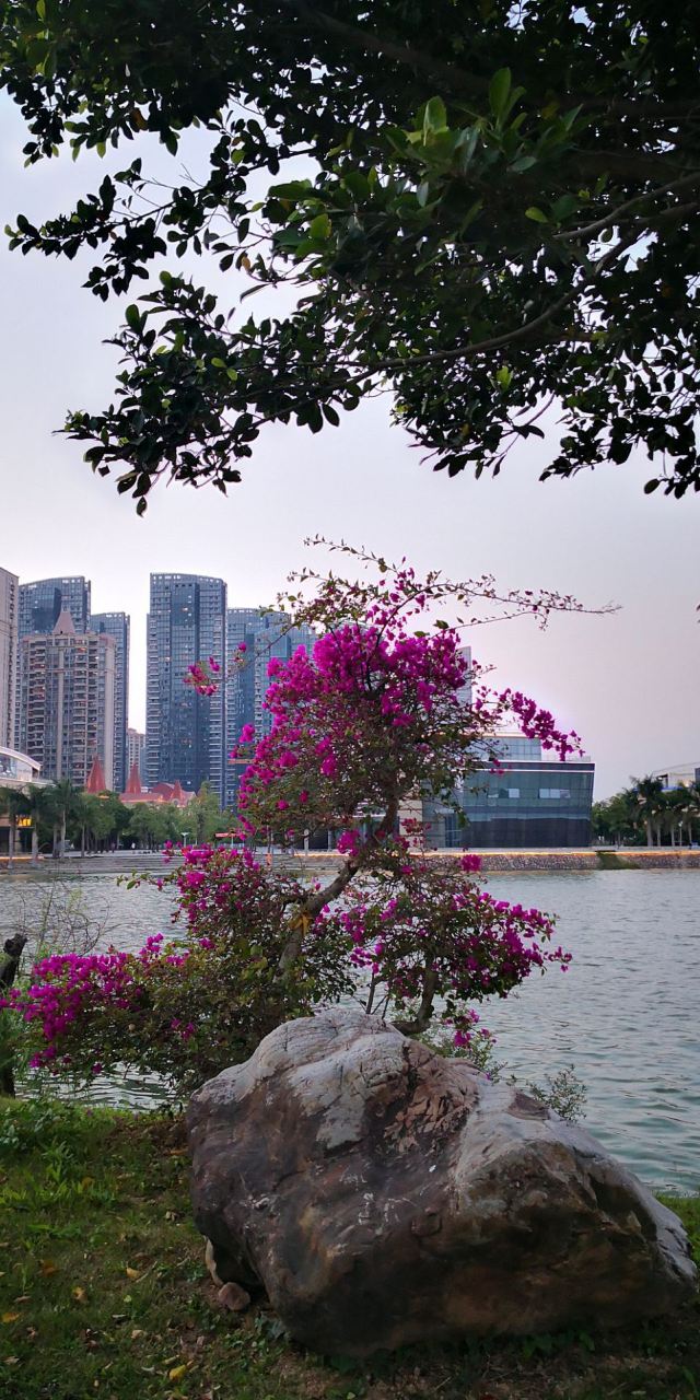 碧湖生态公园旅行图片 8