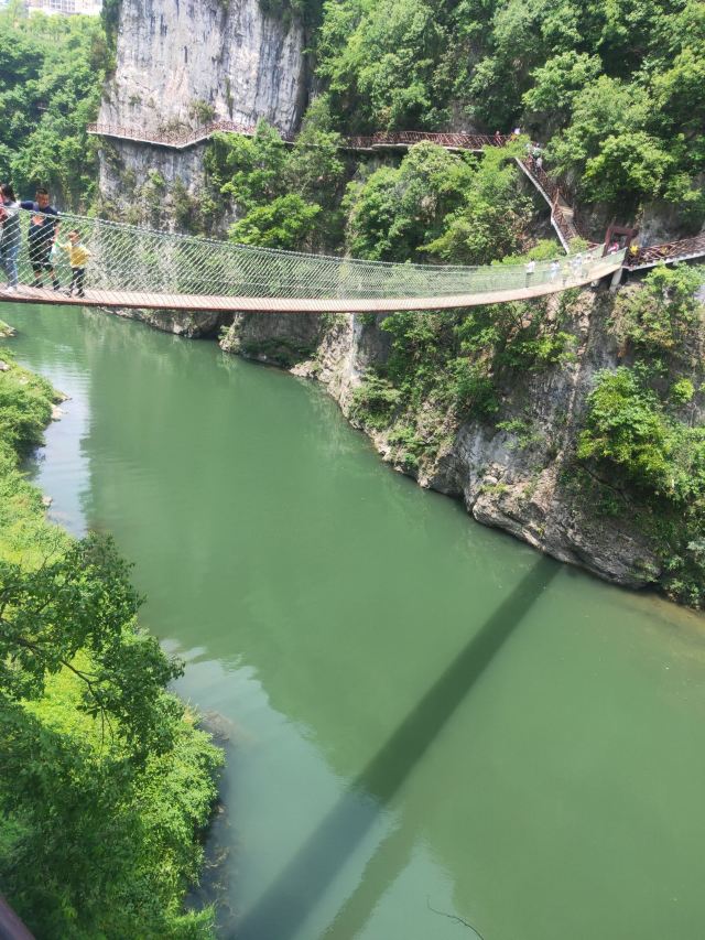 洒金公园旅行图片 5