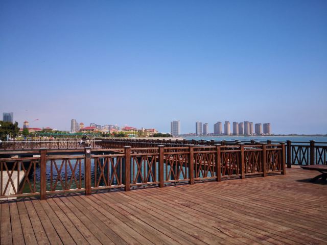 唐岛湾滨海公园-观景台旅行图片 3