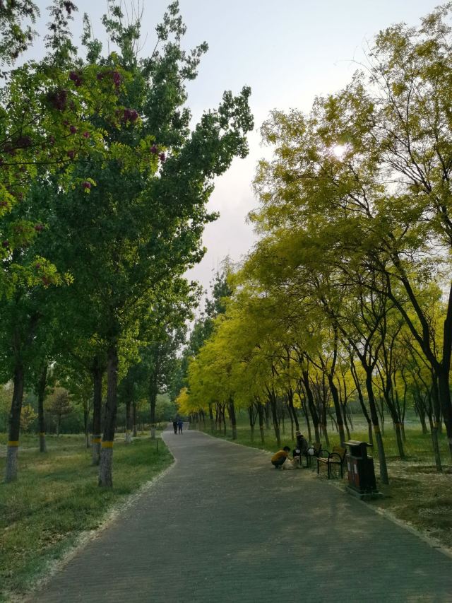 奥北森林公园二期北区旅行图片 2