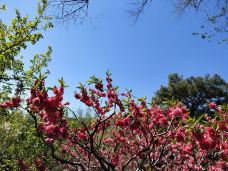 万寿公园-北京-YoYo_2W2Q3L5U