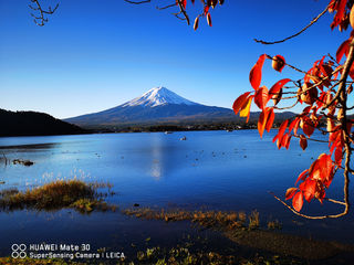彪悍的小Y日本关东关西赏枫敬老游