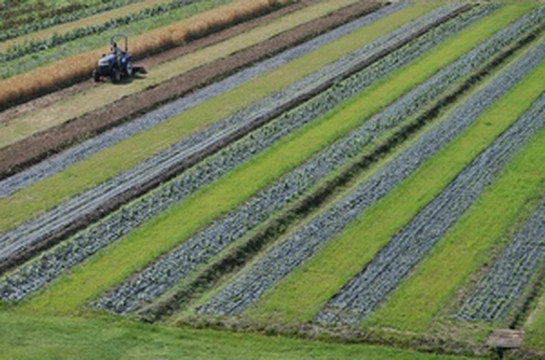 嘉善游记图文-江浙沪一小时生活圈|一个超浪漫的田野度假民宿