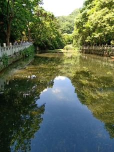 黔灵山公园-贵阳-YoYo_6W0J7J6U