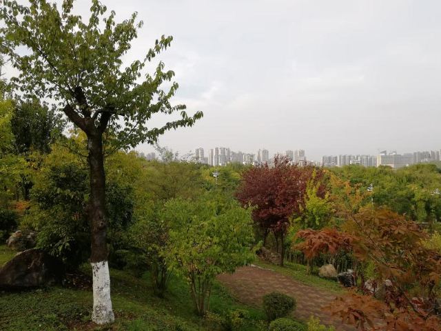 小湾河湿地公园旅行图片 8