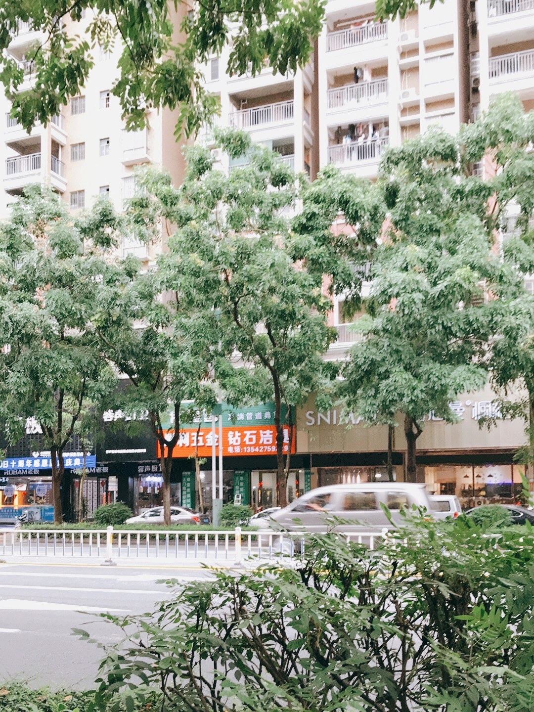 东山森林公园北广场