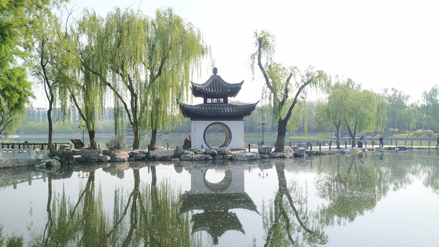 北京的陶然亭公园：初夏的早上