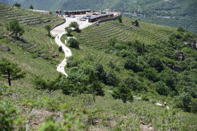 玫瑰谷旅行图片 13