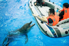 澄江游记图片] 昆明周边周末亲子游好去处，零距离接触海豚，入住七彩童话城堡