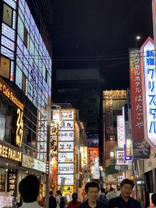 新宿区-东京-波伊斯阿尔文