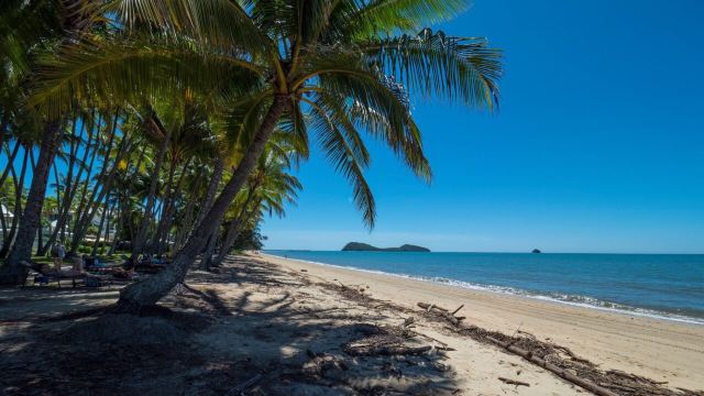 Palm Cove