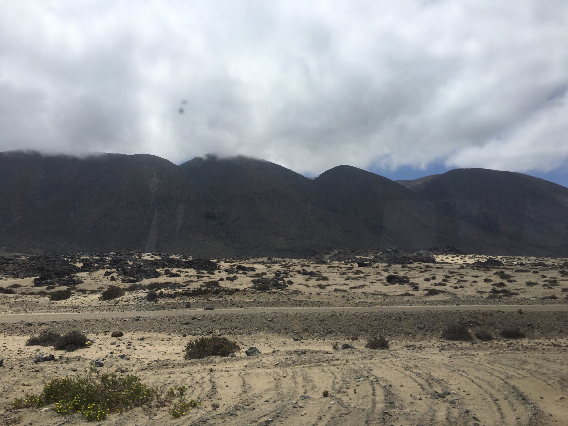 智利北部阿塔卡玛沙漠终年无雨，是世界最干旱地区之一。