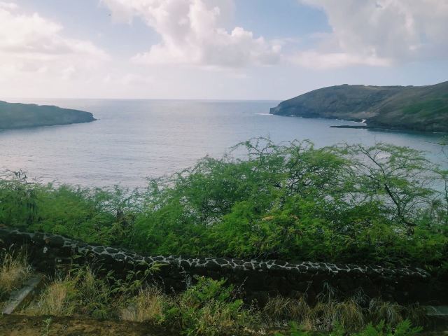 恐龍灣