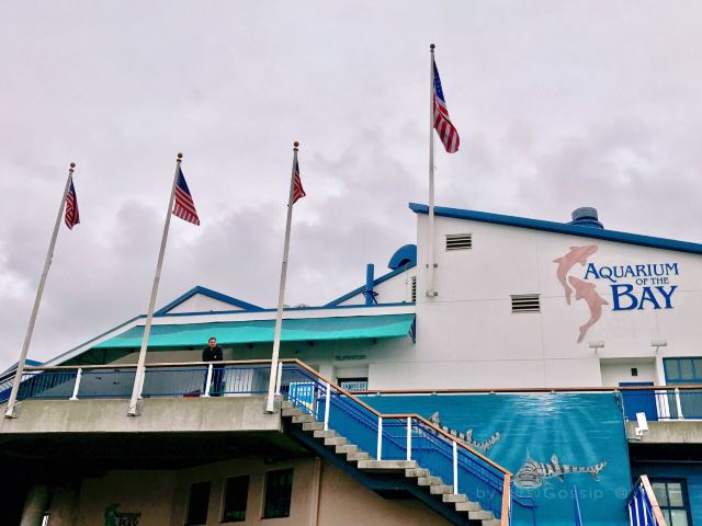 海灣水族館