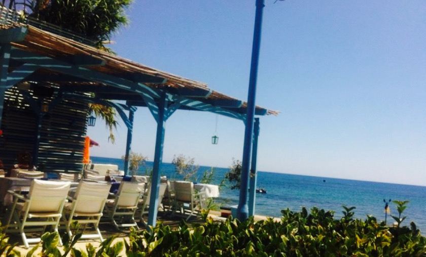 YA Sea Food Restaurant餐厅图片