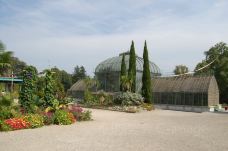 植物园-日内瓦-doris圈圈