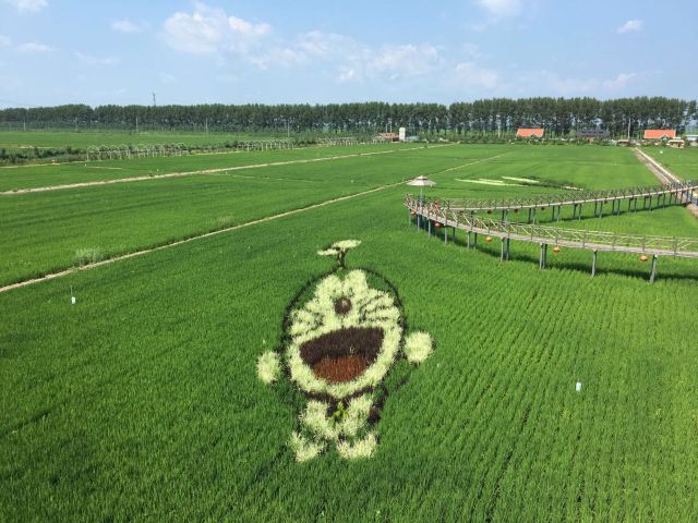 稻夢空間