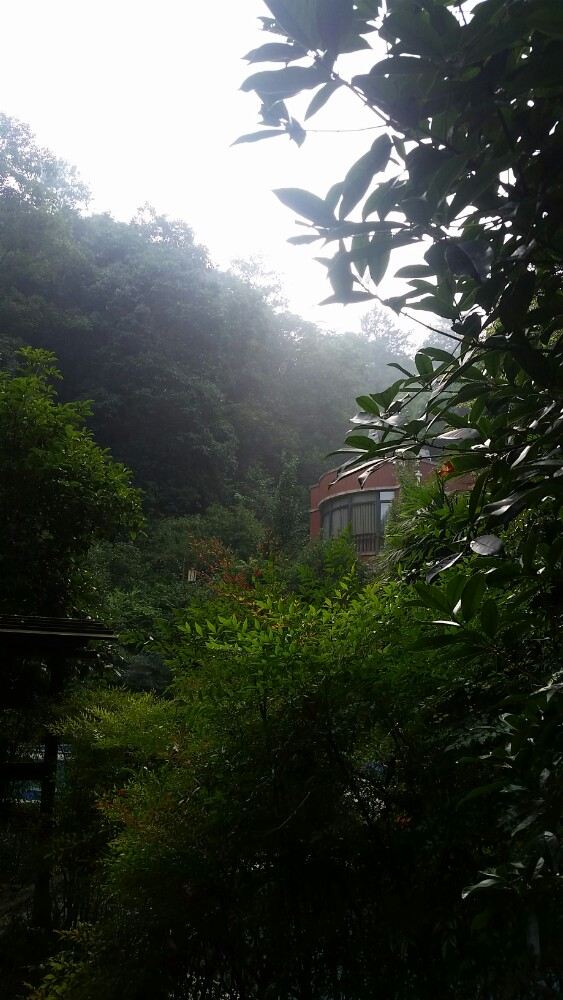 Emei Mountain Guanling Forest Hot Spring