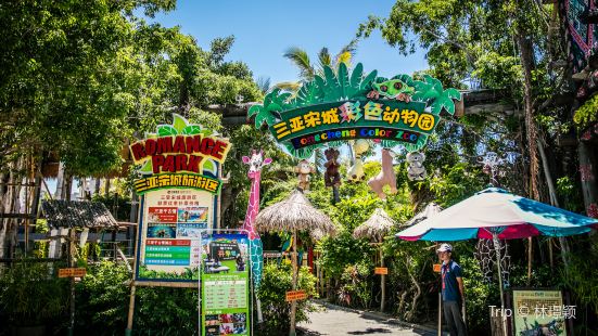 Sanya Color Zoo