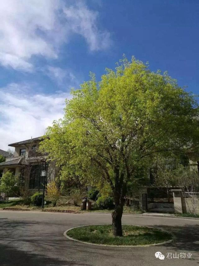 君山高尔夫俱乐部