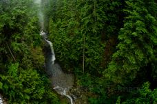 林恩峡谷公园-北温哥华-doris圈圈