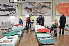 鱼市教堂-哥德堡-贝塔桑