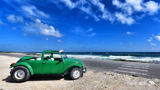 Cozumel Island