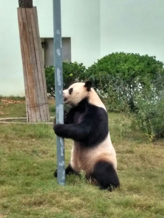 칭다오(청도) 동물원