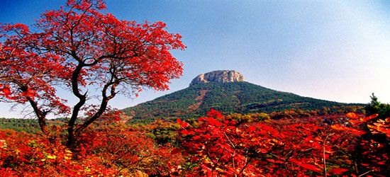 양톈산 국가삼림공원