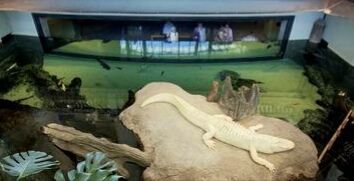 California Academy of Sciences