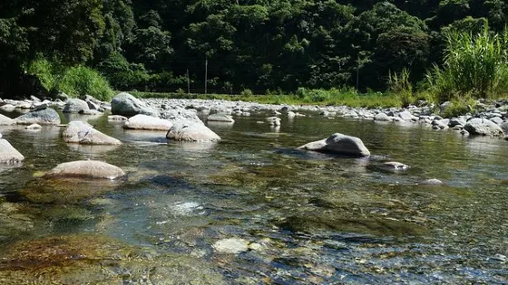 白鮑溪