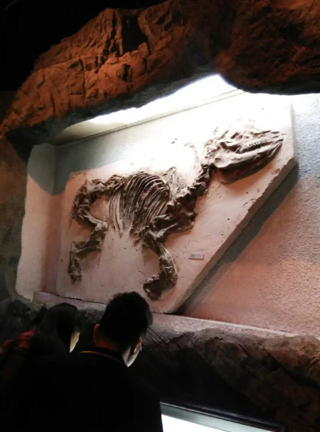 Shanghai Science and Technology Museum