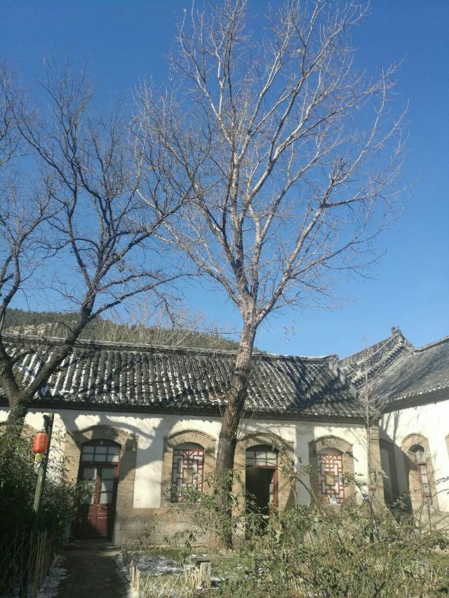 주자위