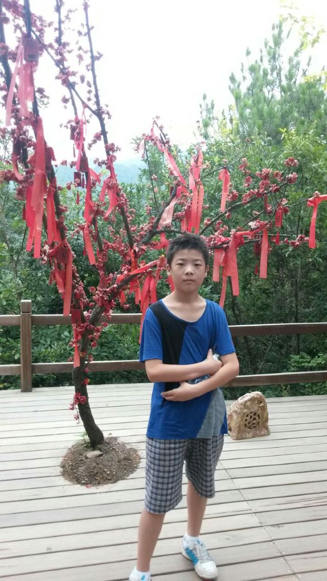 메이펑다오