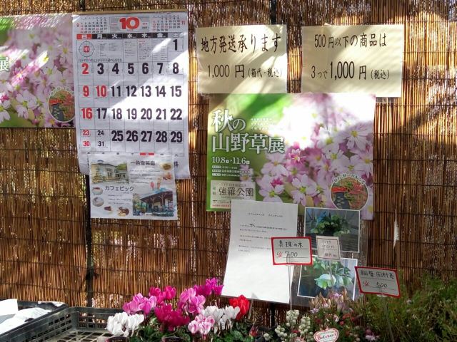 箱根強羅公園