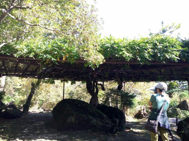 箱根強羅公園